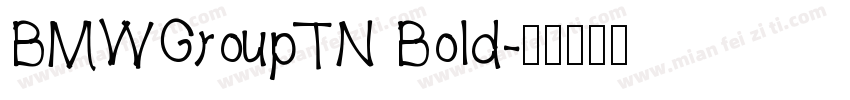 BMWGroupTN Bold字体转换
